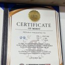 에스테틱 디어밍