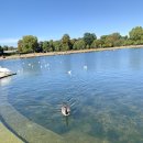 더퍼스트 호스텔 | 영국 런던 4일차 일정 코스 / 켄싱턴가든 애프터눈티 위키드 후기