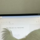 대전 관평동 샐러드 맛집 "프롬보울 관평점"