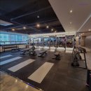 원에프짐 | [부산 헬스장] 에스에프짐 명지점 부산 헬스장 에스에프짐 명지점, 청결과 전문성의 조화