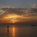 바다비행사 이미지