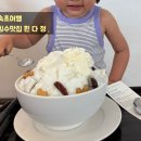 흰다정 | 속초 가면 꼭 먹어야 하는 빙수맛집, 흰다정 솔직후기