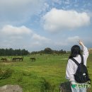 용눈이펜션 | 제주 용눈이오름 🌿 아이와 가기 좋은 제주도 오름 추천 힐링 산책 코스