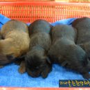 신구농장 이미지