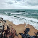 데일리103 이미지