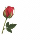 어느 수녀님의 기도 이미지
