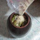 진정먹거리