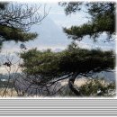 안미장리 이미지