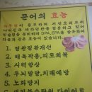 스쿠버다이버의집 이미지