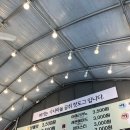 박사마을곰핫도그 네이버블로그