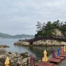 강원관광대우1 이미지