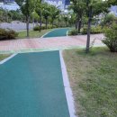 강남언니애견미용호텔 이미지