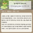 굴개굴개 청개구리 이미지