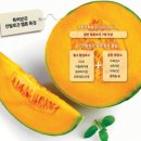 신우리약국 이미지