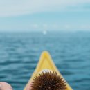 주상절리 관광안내소 이미지