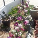 남해쁠라야 이미지