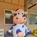 산정목장 1 | 내돈내산 포천 산정호수 사르르목장 다녀 온 후기입니듀