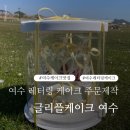 글리플케이크 이미지