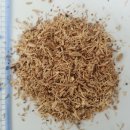 엘에스케이 이미지