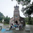 코끼리관광주 이미지