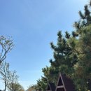 동삼2동-1 이미지