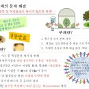 성공영농을 위한 기초 3- 화학비료의 염류집적 문제를 이해하고 대안을 찾자 이미지