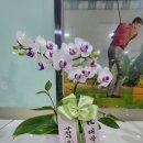 쌍용골프존파크 이미지