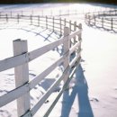 정석목장 이미지