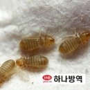 부산방역공사