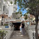 헤븐리 | 하와이 브런치 맛집 "헤븐리" 후기 / 예약 없이 방문한 솔직 리뷰 (웨이팅, 메뉴 추천)