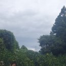 해광농장 이미지