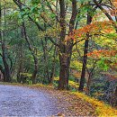 첨단교(거점터미널) 이미지