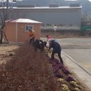 개곡1리 이미지