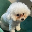 삼개식당 이미지