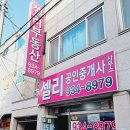 셀리공인중개사사무소 네이버블로그