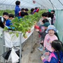 품다태권도장 이미지