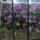 한울휠체어 | 국립세종수목원 두번째 후기.