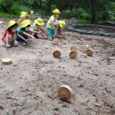 국립용화산자연휴양림 이미지