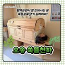 쑥뜸천하 - 고흥군 원동남계길 5 | 오송 쑥뜸천하 후기 :: 몸이 완전 개운했던 오송 쑥뜸체험 솔직 후기