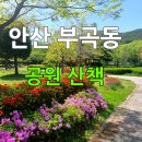 성호부동산공인중개사사무소 이미지