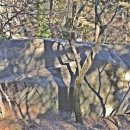 금성동 교차로 3 이미지