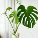 진해시니어클럽 이미지