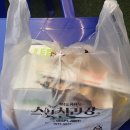 교촌치킨압구정 | BHC 신메뉴 쏘이갈릭킹 허니 콤보 후기! feat. 2026 한강 대학가요제