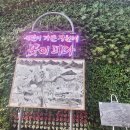 춘천시청 이미지