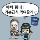 "이재명 '법카 유용' 정황 알았을 것"…권익위, 검찰에 이첩 이미지