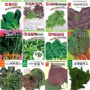 고수농장 이미지