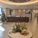 심치과의원 | [ 창원 치과 추천 ] 정직한 치과 상남동본점, 정직한 후기