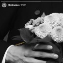 네이처스토리 이미지