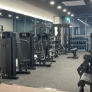 머슬원핏 이미지