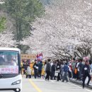 왕인박사유적지 주차장 네이버블로그
